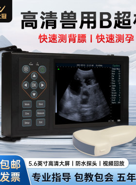 兽用B超机猪牛羊用测孕仪器高清彩屏便携式彩超仪背膘仪超声验孕