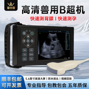 兽用B超机猪牛羊用测孕仪器高清彩屏便携式彩超仪背膘仪超声验孕