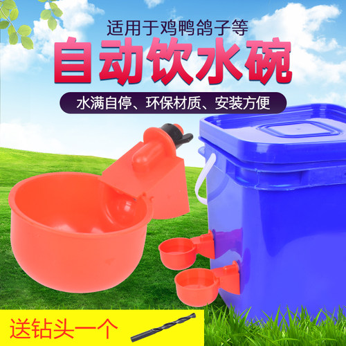 安牧科饮水碗鸡鸭鸽子自动上水