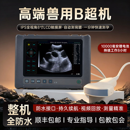 兽用B超机大屏幕便携式高清彩超仪猪牛羊马用超声测孕验孕仪器