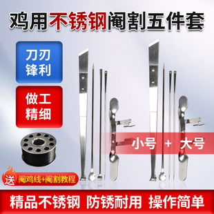 不锈钢阉鸡工具专业全套大小公鸡快速阉割刀线鸡工具阉鸡线阉割器