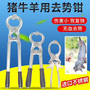 兽用去势钳不锈钢猪牛羊用阉割钳无血煽公羊钳夹羊蛋钳子结扎工具