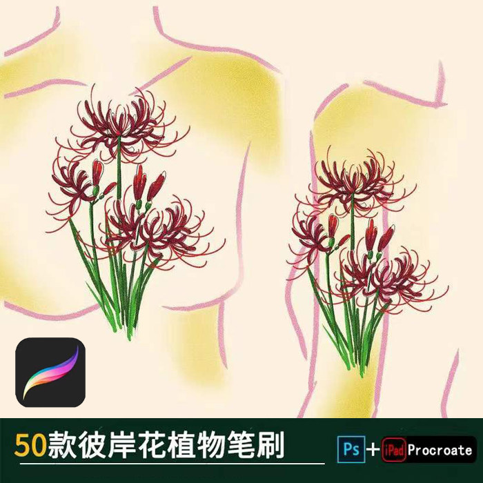 procreate笔刷ps笔刷彼岸花曼珠沙华花卉鲜花手绘花丛ipad素材