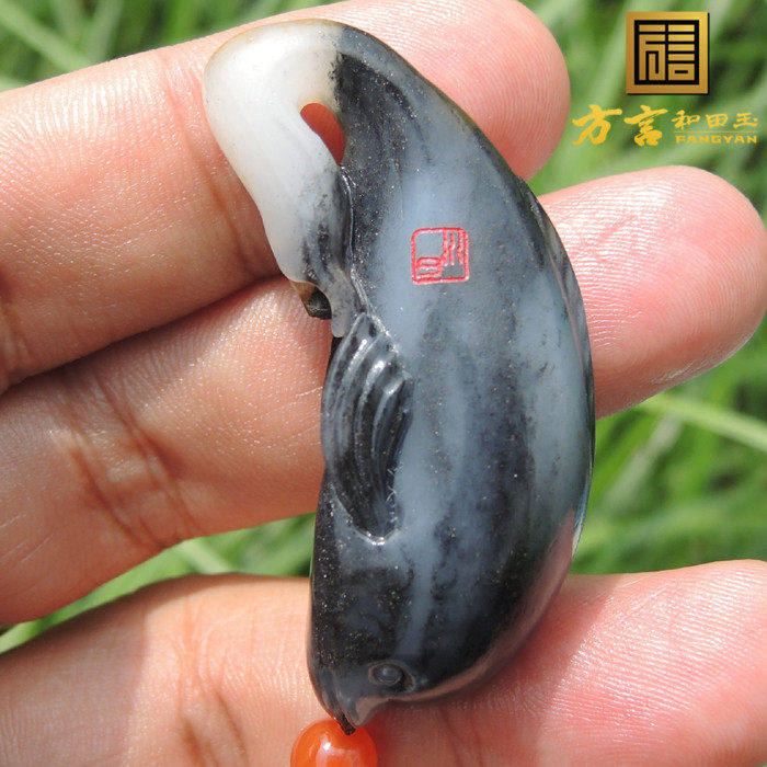 方言珍稀黑色名品红皮和田玉挂件黑白精品青花墨玉籽料海豚吊坠F