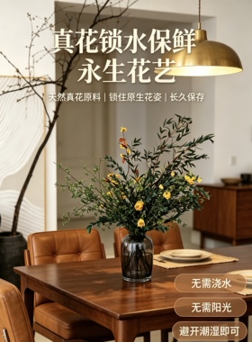 天然真干花永生花绿色尤加利原创插花客厅茶几玄关餐桌床头柜摆件