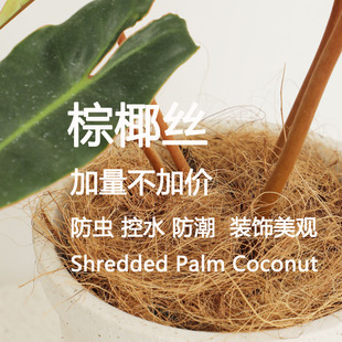 饰 植物表面土覆盖装 可以覆盖直径30㎝圆 棕椰丝 诗与自然