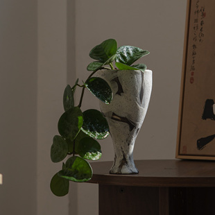 诗与自然 克林顿球兰开花植物垂吊类绿植盆景小众ins风格花卉盆栽