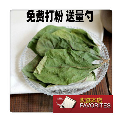 柿子叶500克新鲜免费打