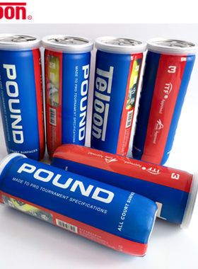 天龙比赛网球POUND冲击波四粒 三粒装中高级专业耐打训练网球罐装