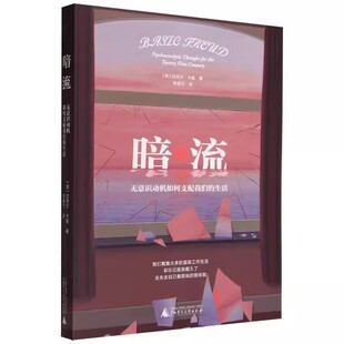 暗流 无意识动机如何支配我们的生活（美）卡恩 性心理发展 俄狄浦斯情结 强迫性重复 焦虑 心理咨询案例 广西师范大学