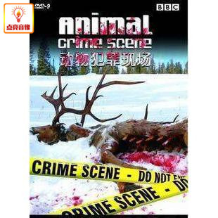 百科音像 BBC 动物犯罪现场 Animal Crime Scene DVD_9