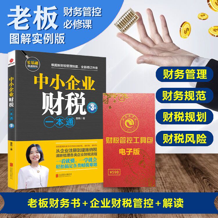 正版中小企业财税一本通聂桃著老板财务书企业财税管控全套资料电子版