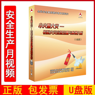 小火酿大灾 初起火灾应急处置与案例分析 2025年安全月重特大事故案例警示教育片视频U盘版AY