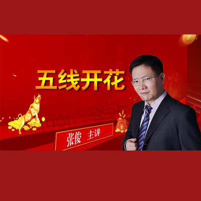 正版包票  张俊 五线开花 视频课程非DVD