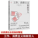 西方文化思想史 工作消费新穷人 社会科学书籍 工作 社会管理与社会规划 正版 消费主义和新穷人 消费社会