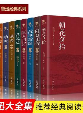 带评析 鲁迅全集10册 作品集鲁迅文集的 朝花夕拾呐喊狂人日记阳光晋熙