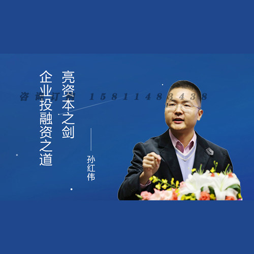 正版包票 孙红伟 亮资本之剑 企业投融资之道 视频课程非DVD 1.8