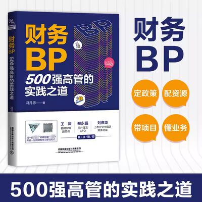 财务BP500强高管的实践之道