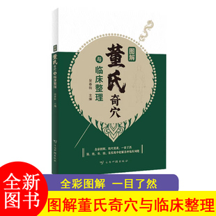 F 图解董氏奇穴与临床整理 实用精准取穴方法 常见问题对症解决方案 全彩图解JST-JXWH