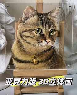 亚克力强磁3D宠物立体画板强磁面板展示牌定做