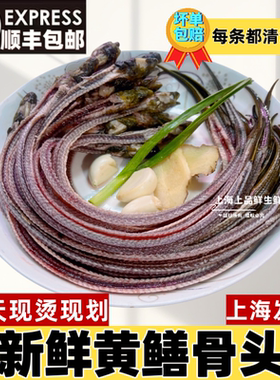 新鲜黄鳝骨头 现烫现划 新鲜鳝鱼骨头 鳝鱼骨 上海发货包邮
