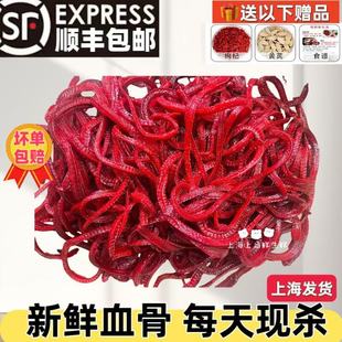 新鲜黄鳝骨头 现杀长鳝鱼血骨头 鳝鱼骨黄鳝骨头干上海顺丰包邮