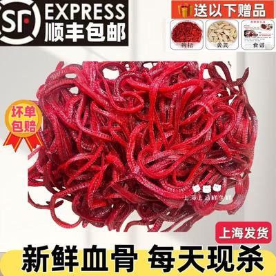 新鲜黄鳝骨头 现杀长鳝鱼血骨头 鳝鱼骨黄鳝骨头干上海顺丰包邮