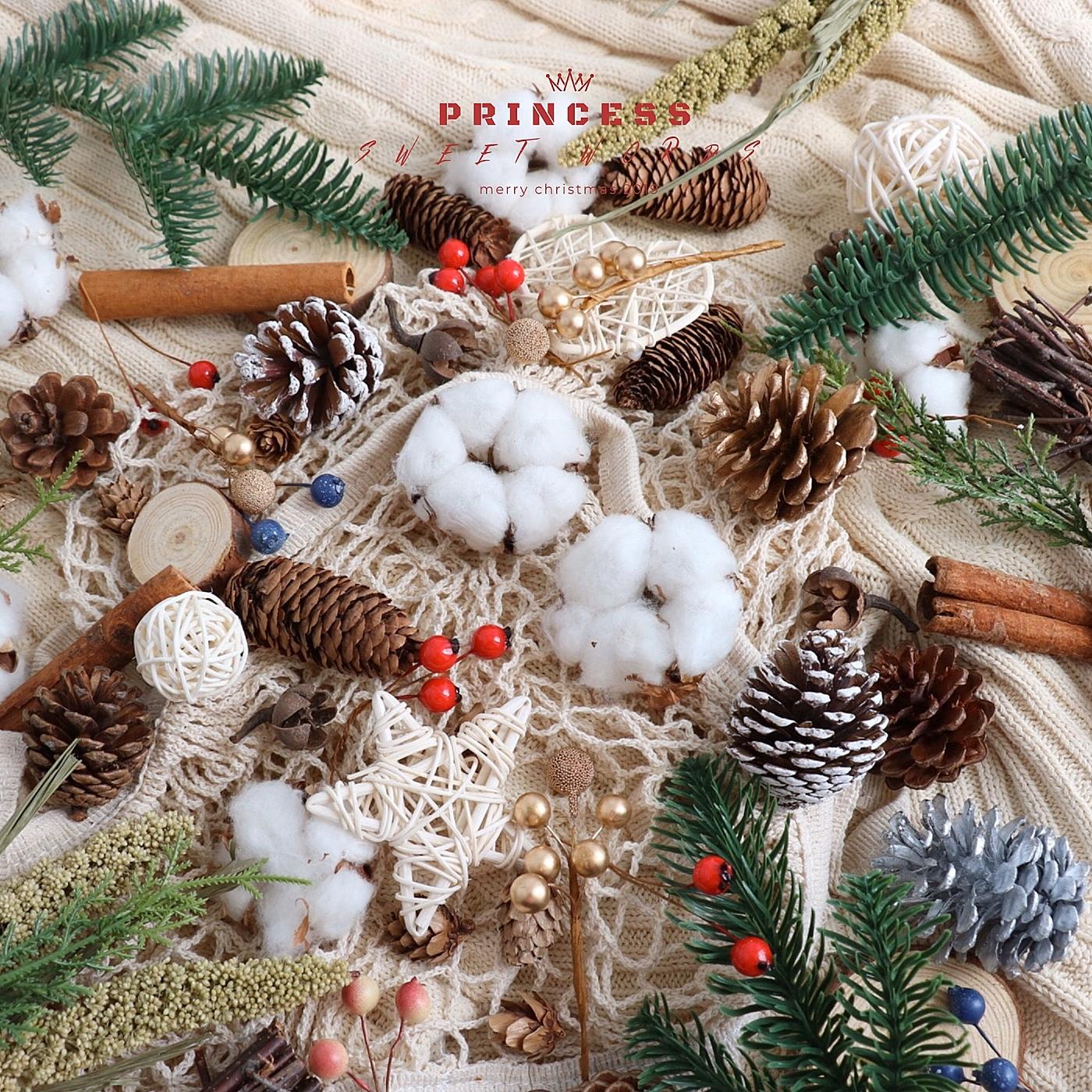 圣诞装饰桂皮松果仿真叶子