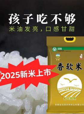 白湖长粒香米10斤 晚稻圆粒粳米煮饭煮粥香软真空包 2025年新大米