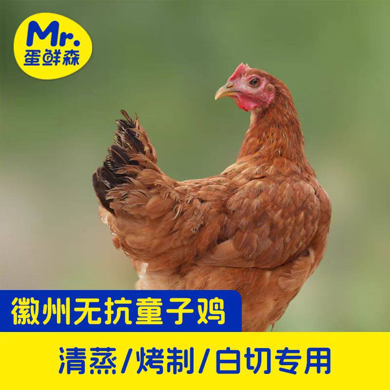 蛋鲜森肥西无抗童子鸡顺丰到家