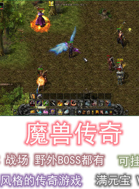 魔兽传奇回忆录 单机 解压既玩 电脑PC挂机 战场DM游戏 免虚拟机