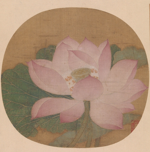 出水芙蓉图临摹课材料包：彩图、线稿、小块绢、画框、颜料、明胶