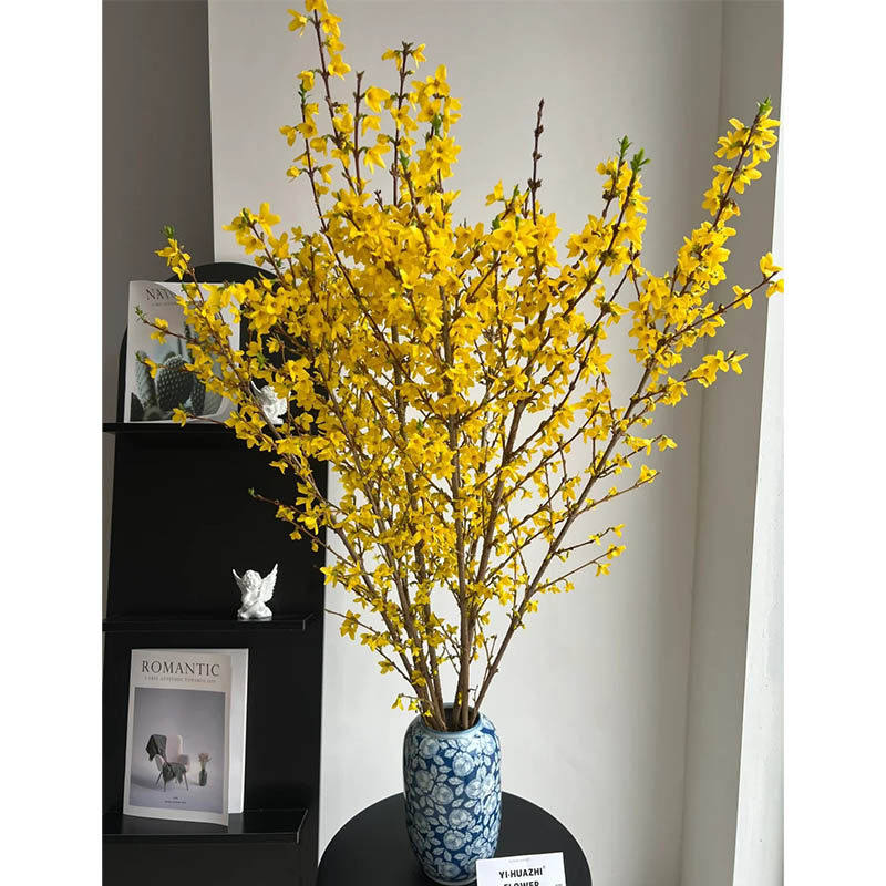 荷兰进口年宵花卉精品花材鲜花速递全国寸寸金串串金连翘顺丰包邮