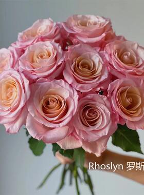 厄瓜多尔进口玫瑰花罗斯林10支