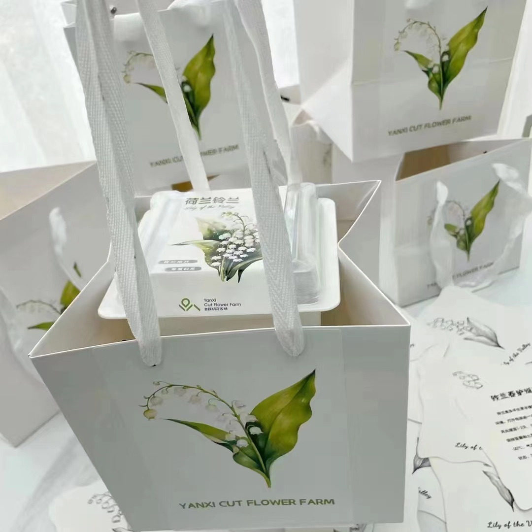 铃兰花成品盆栽家庭用花