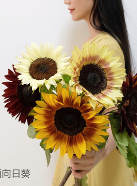 精品花材油画向日葵花期长顺丰