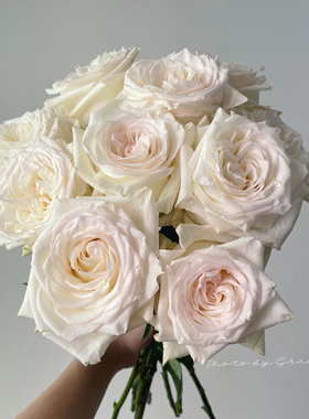 同城甄选厄瓜多尔进口鲜切花速递全国Candlelight烛光玫瑰花10支