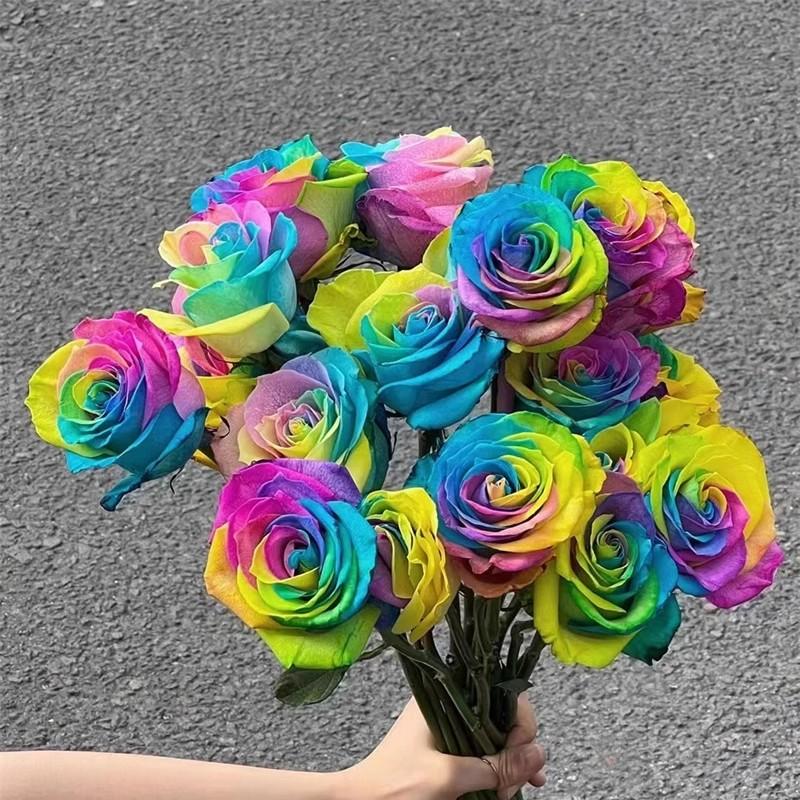 厄瓜多尔高端进口花材RAINBOW MONDIAL七彩染色玫瑰花10支