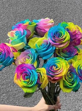厄瓜多尔高端进口花材RAINBOW MONDIAL七彩染色玫瑰花10支