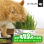 Renke Pet VETRESKA Uncat Cat Grass Paper Bag Cultation to Hair Ball Cat Snacks Hair Hair Hair Hair - Đồ ăn nhẹ cho mèo thức ăn thú cưng