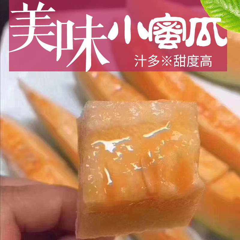 海南新款海南省蜜瓜13斤装哈密瓜新鲜一箱当季应季水果整箱香甜瓜