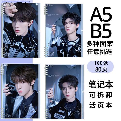 苏新皓朱志鑫左航张泽禹张极TOP登陆少年笔记本周边痛本手帐本