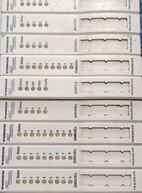 议价德国图尔克 TURCK 模块 DM80EX GDP1.5 D