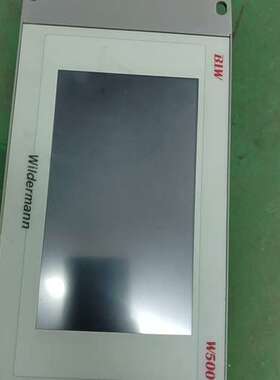 德国wildermann压力移位监控仪W500