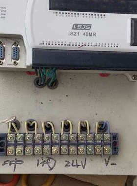 议价良石PLC可编程控制器，型号LS21-40MR，24输入和1