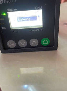 议价 VIGIREX RHU LV481003，如图所示，