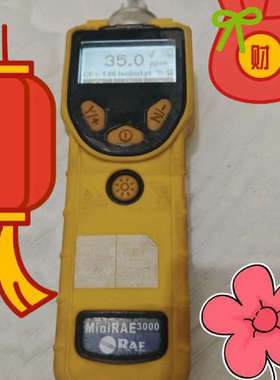 议价霍尼韦尔MiniRAE3000 VOC气体检测仪，型号PGM