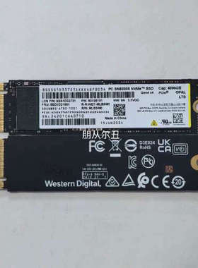 议价西数SN8000S 4T NVME