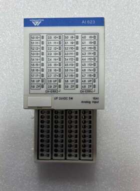 议价WINMATION模块AI 623 原装实拍 成色如图 功能