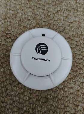 议价Consilium Salwico EC-P感烟火警探头，P